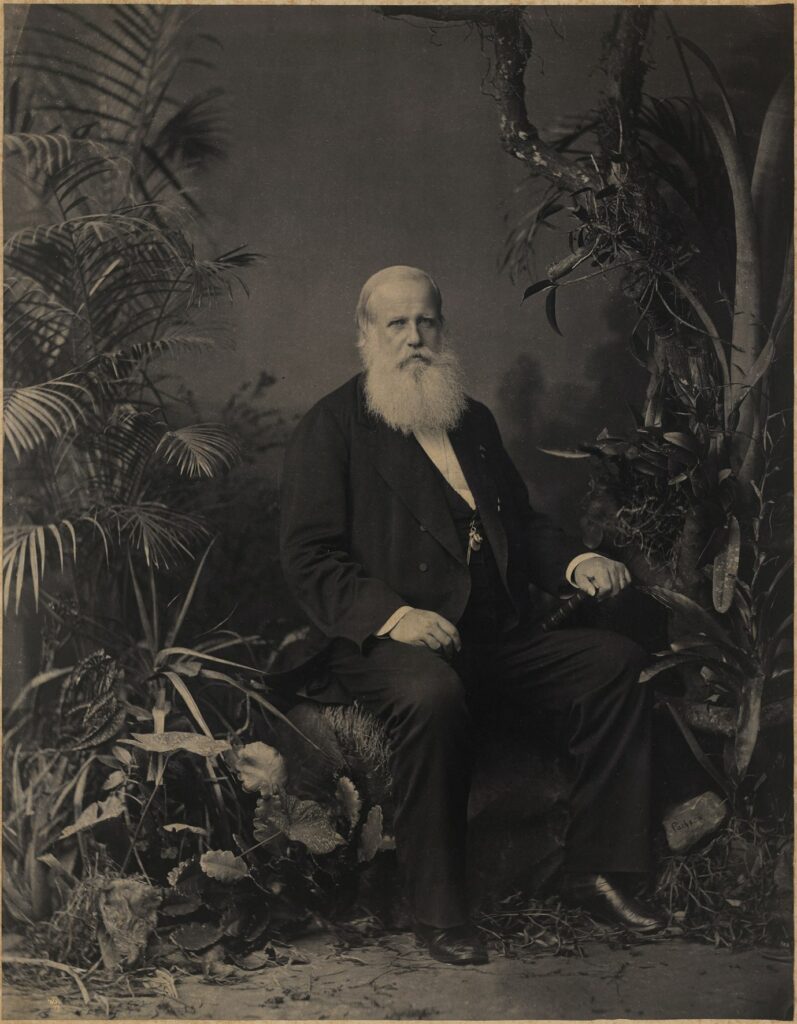 Imperador D. Pedro II (divulgação)